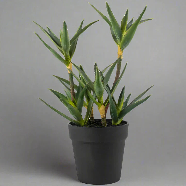 Faux Aloe in Black Pot - YF20544 - Uneeka
