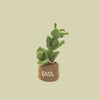 Felt Potted Herbs - PLHERB - BASIL - Uneeka