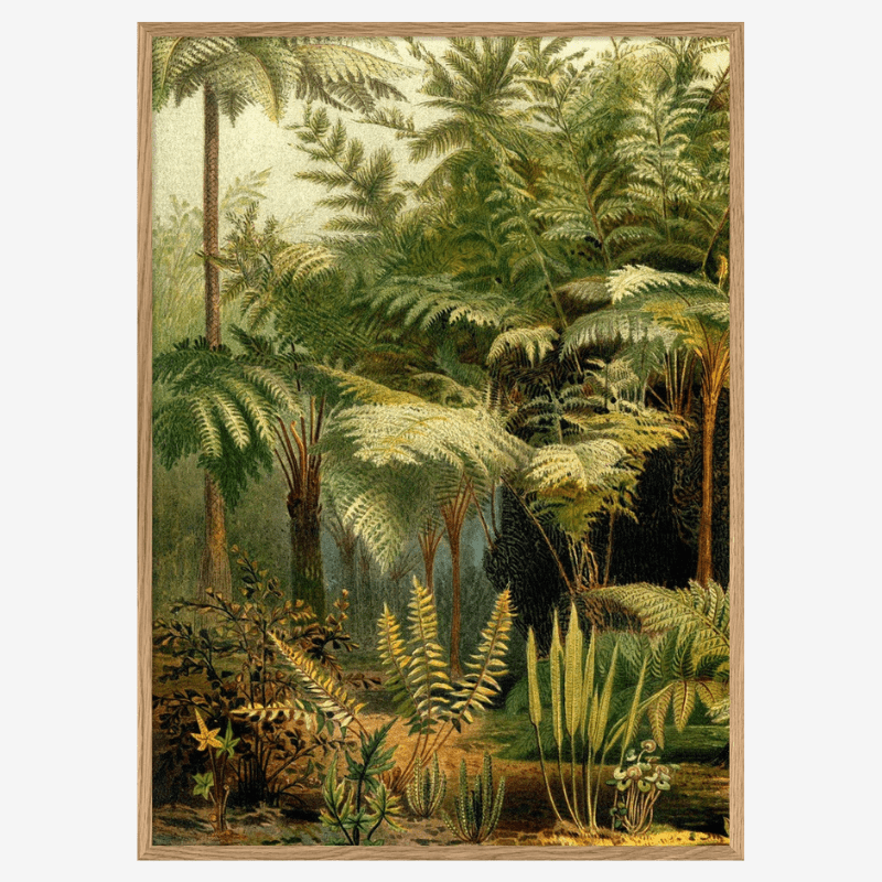Fern Jungle Framed Art Print (LEFT) - OFG 50x70 2926L - Uneeka