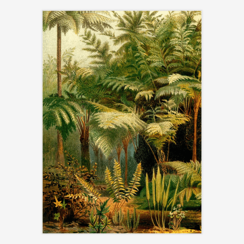 Fern Jungle Framed Art Print (LEFT) - OFG 50x70 2926L - Uneeka
