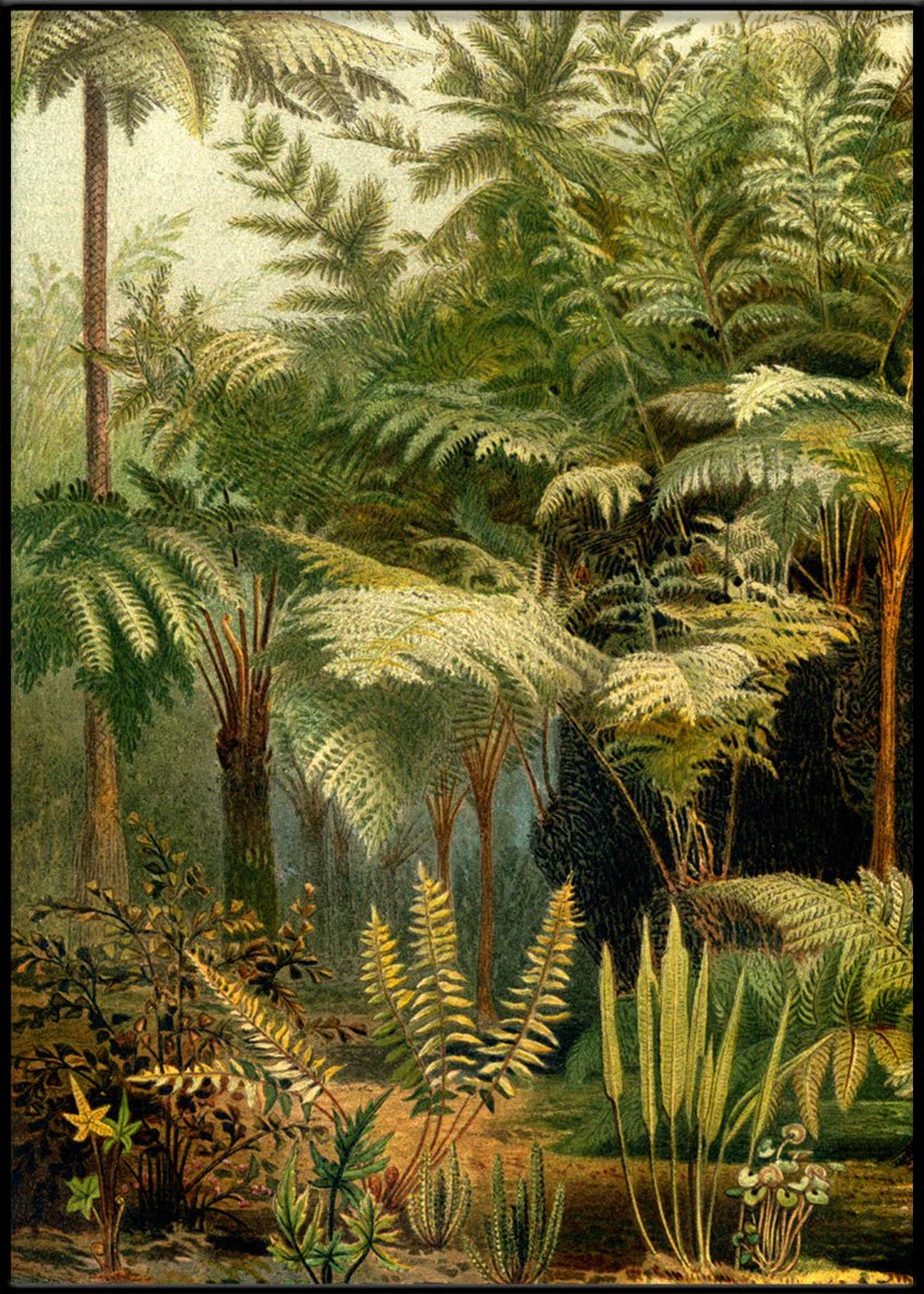Fern Jungle Framed Art Print (LEFT) - BFG 50x70 2926L - Uneeka