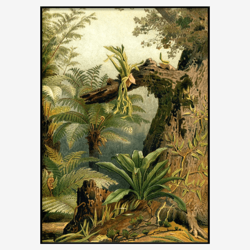 Fern Jungle Framed Art Print (RIGHT) - OFG 50x70 2926R - Uneeka