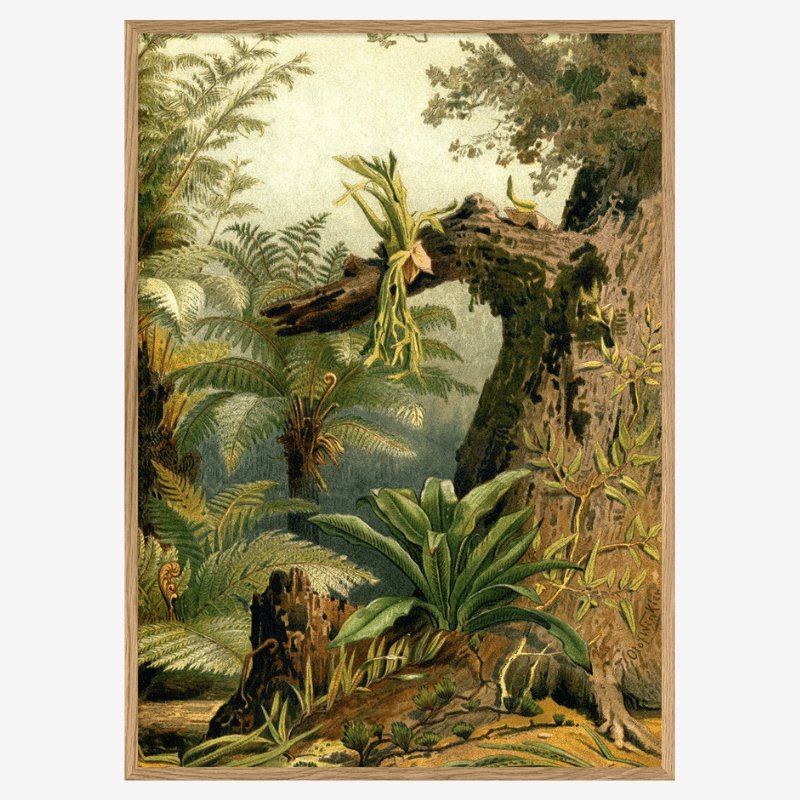Fern Jungle Framed Art Print (RIGHT) - OFG 50x70 2926R - Uneeka