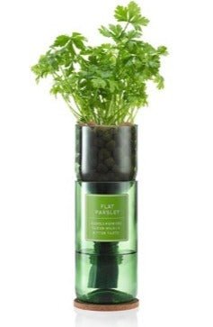 Flat Leaf Parsley Hydro Herb - FLAT PARSLEY - Uneeka