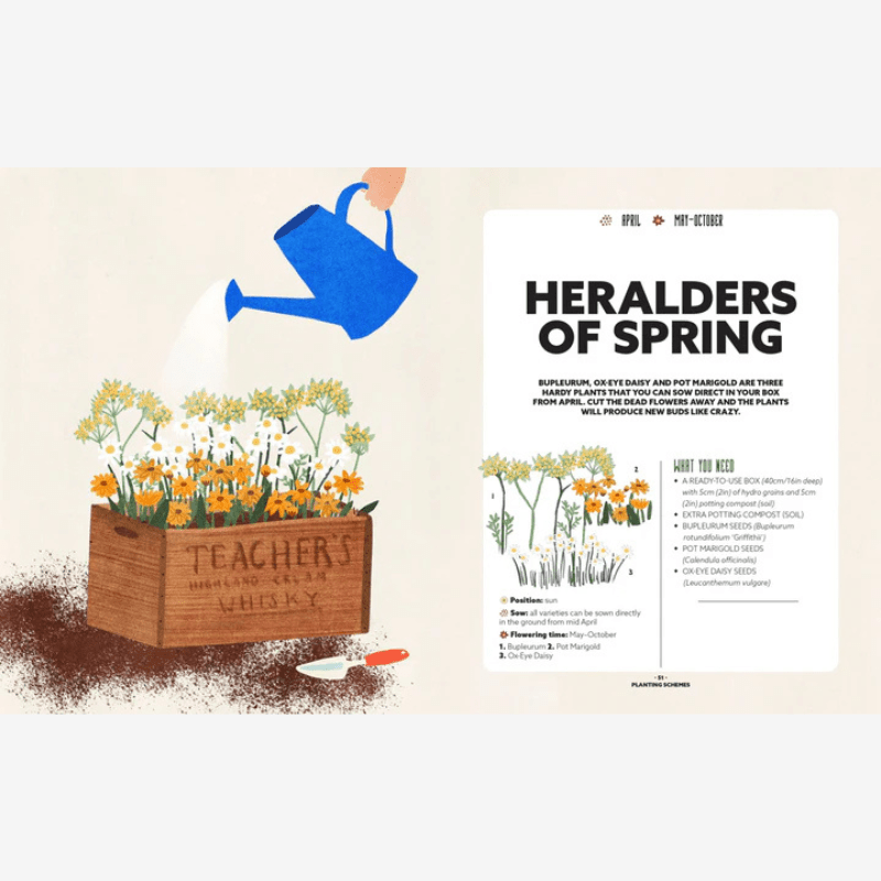 Flower Garden Illustrated Guide Book - B054582 - Uneeka