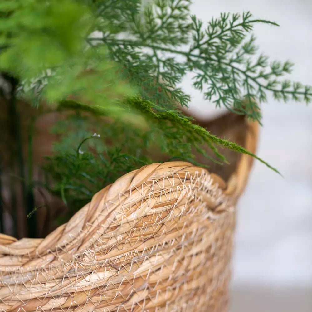 Frill Edge Natural Seagrass Large Basket Planter - LIN24844 - Uneeka