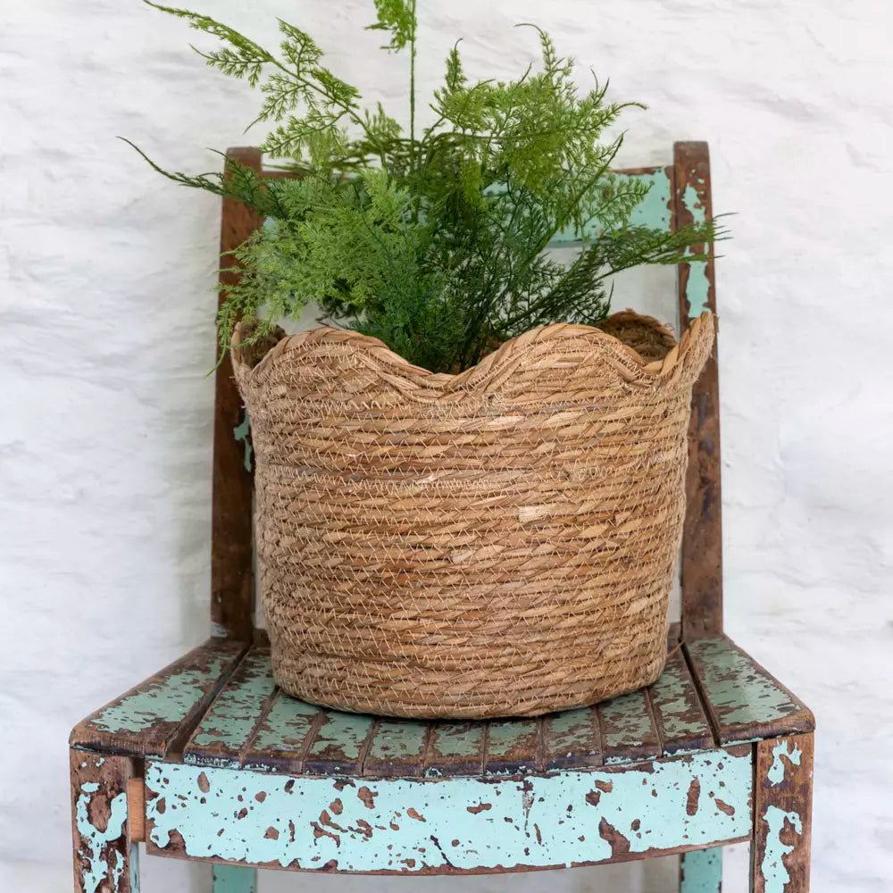 Frill Edge Natural Seagrass Large Basket Planter - LIN24844 - Uneeka