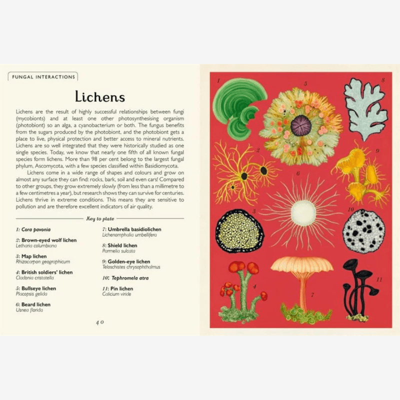Fungarium Mini Nature Guide Book - B068843 - Uneeka