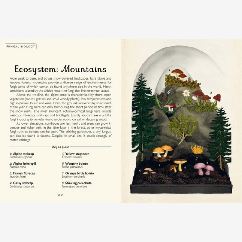 Fungarium Mini Nature Guide Book - B068843 - Uneeka