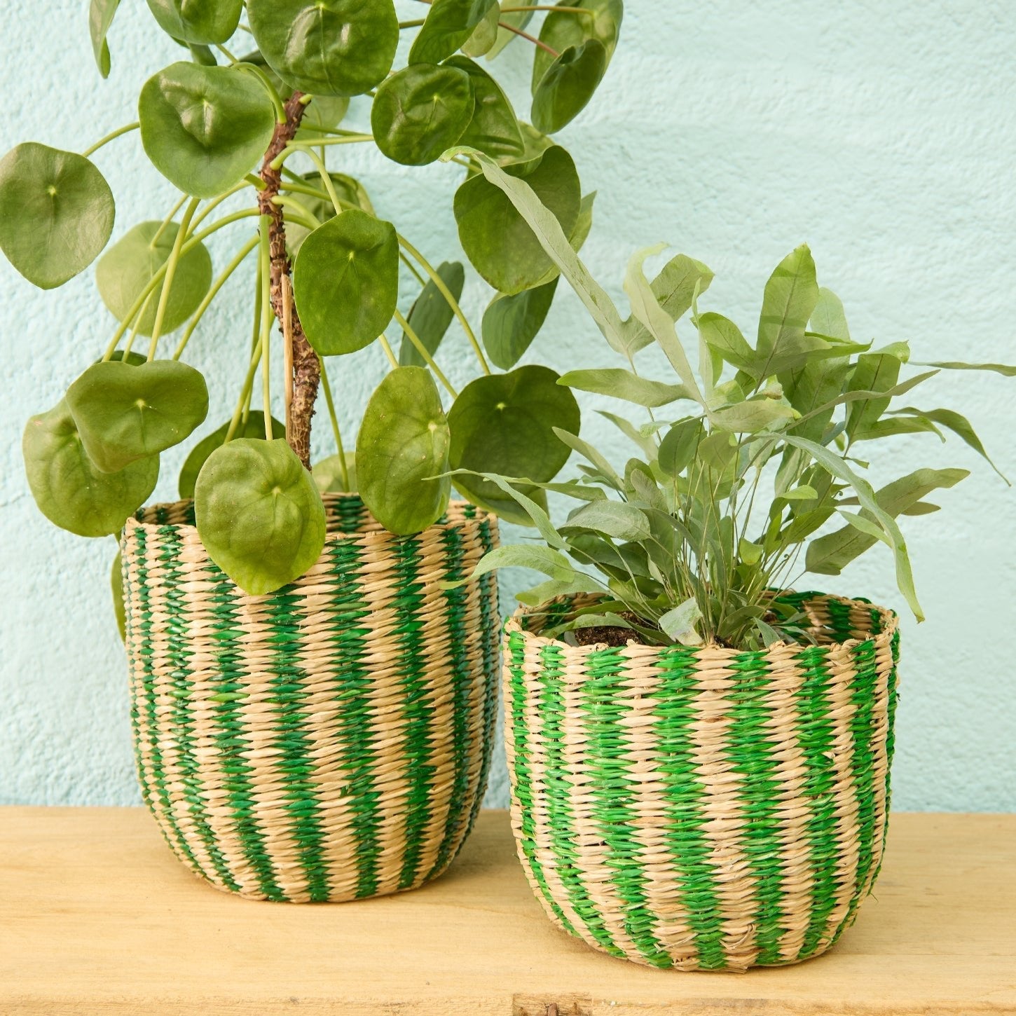 Green Striped Seagrass Planter Basket - BSK72 - SMALL - Uneeka
