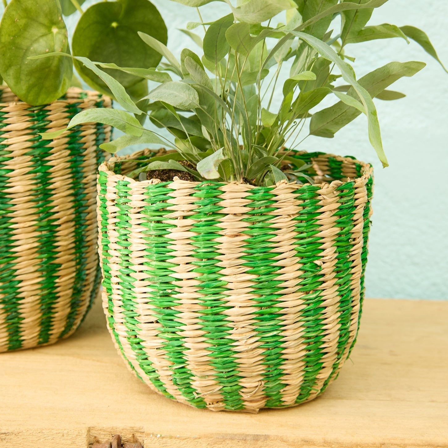 Green Striped Seagrass Planter Basket - BSK72 - SMALL - Uneeka