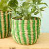Green Striped Seagrass Planter Basket - BSK72 - SMALL - Uneeka