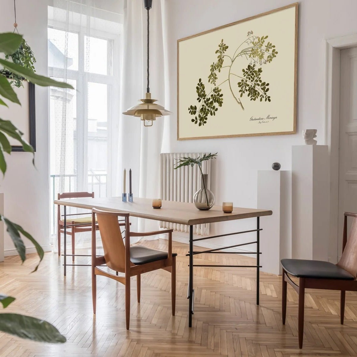 Guilandina Moringa Botanical Art Print - OFG 50x70 3115 - Uneeka