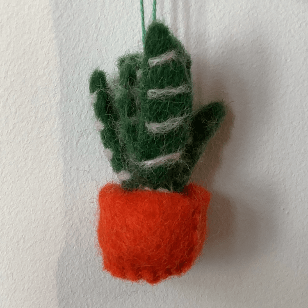 Handmade Felt Biodegradable Hanging Mini Plants - HGMHP - ZEBRA CACTUS - Uneeka