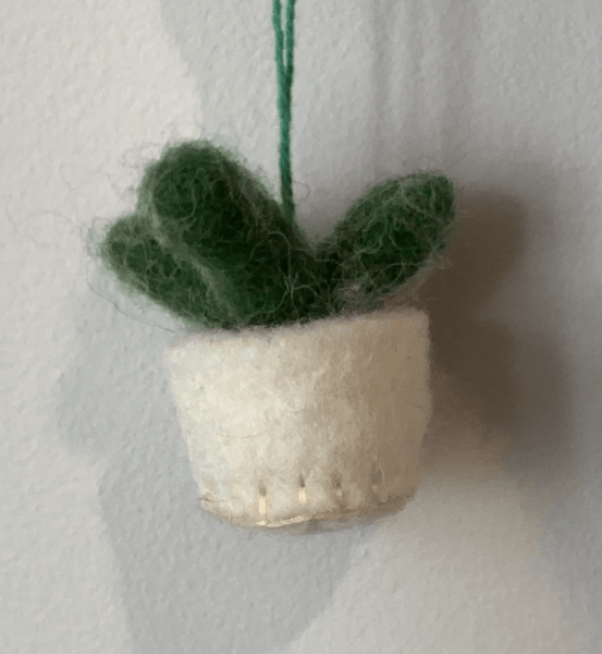 Handmade Felt Biodegradable Hanging Mini Plants - HGMHP - SUCCULENT - Uneeka