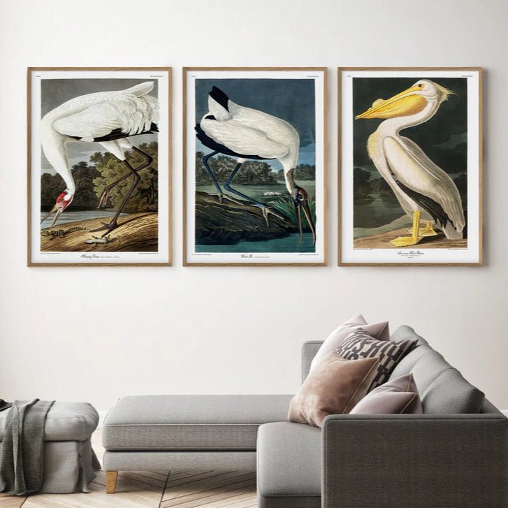 Hooping Crane Framed Print - OFG 50x70 6524 - Uneeka