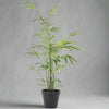 Imitation Bamboo In Pot - YF21126 - Uneeka