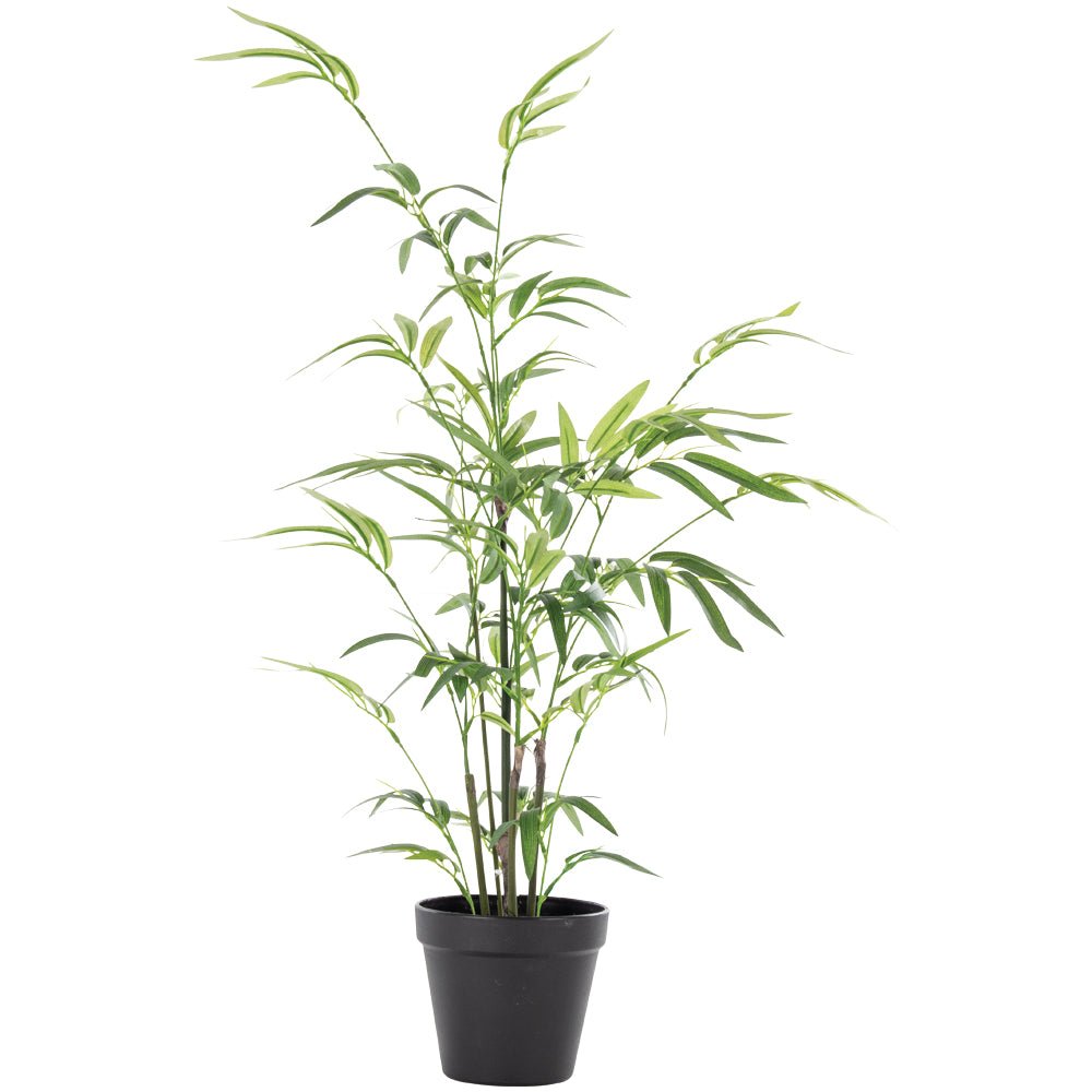 Imitation Bamboo In Pot - YF21126 - Uneeka