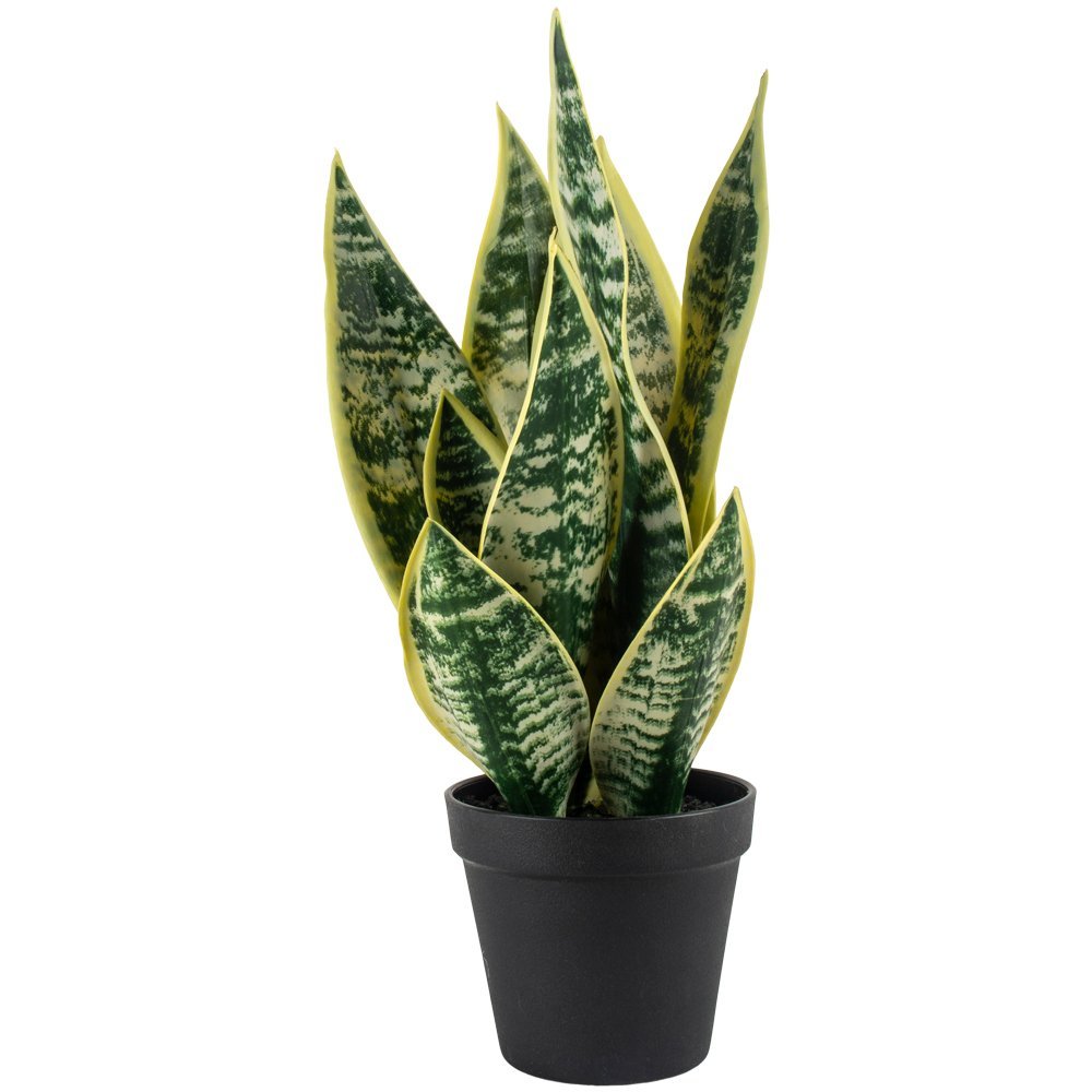 Imitation Snake Plant in Pot - YF20548 - Uneeka