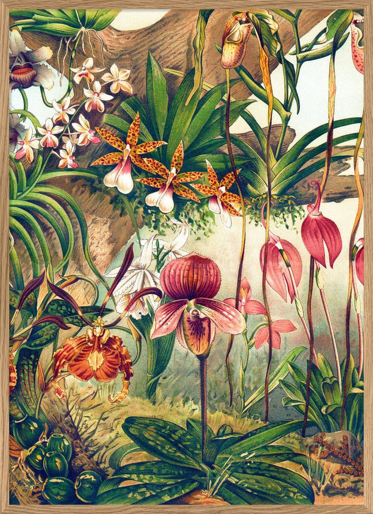 Jungle Orchids Framed Print - OFG 50x70 2923 - Uneeka