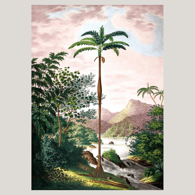 Jungle with Slim Palm Tree Framed Art Print - 30x40 6101 - Uneeka