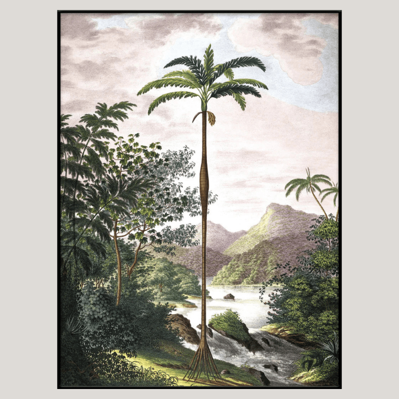 Jungle with Slim Palm Tree Framed Art Print - BFG 30x40 6101 - Uneeka
