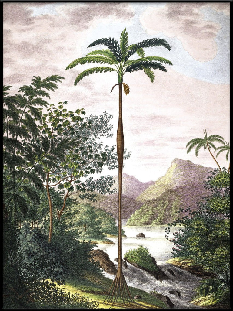 Jungle with Slim Palm Tree Framed Print - BFG 30x40 6101 - Uneeka