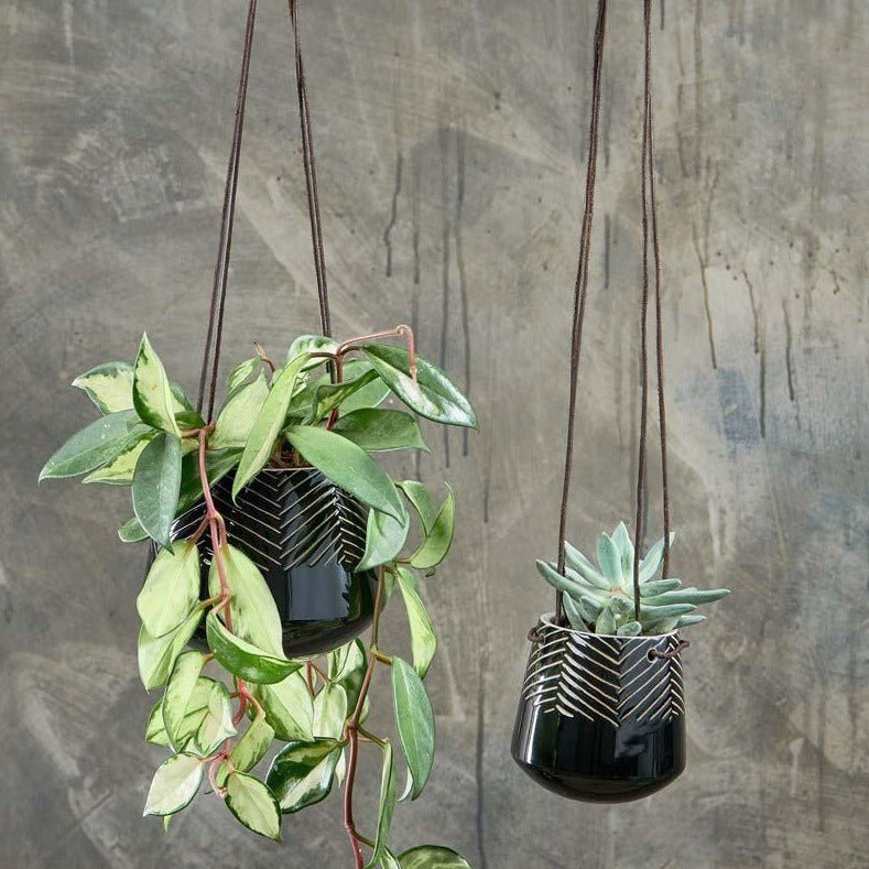 Kavari Ceramic Hanging Planter* - KP4901 - Uneeka