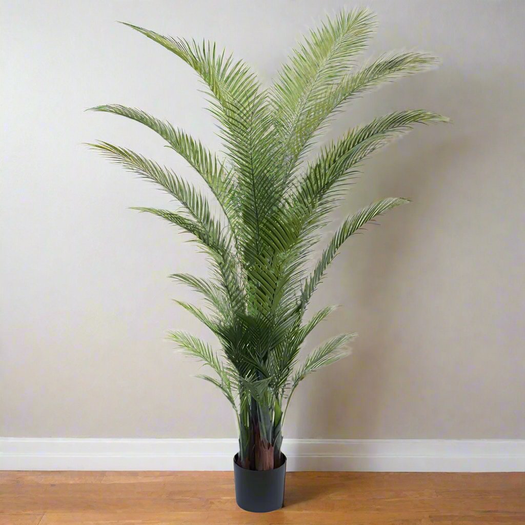 Large Ornamental Palm Tree - AF87 - Uneeka