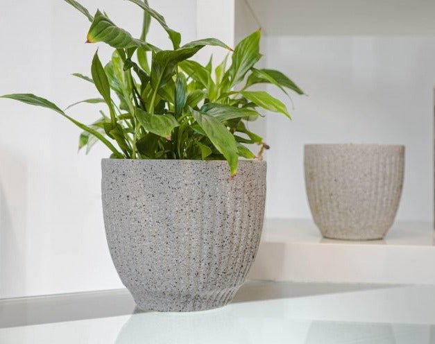 Limestone Effect Indoor Plant Pot* - PT043 - Uneeka