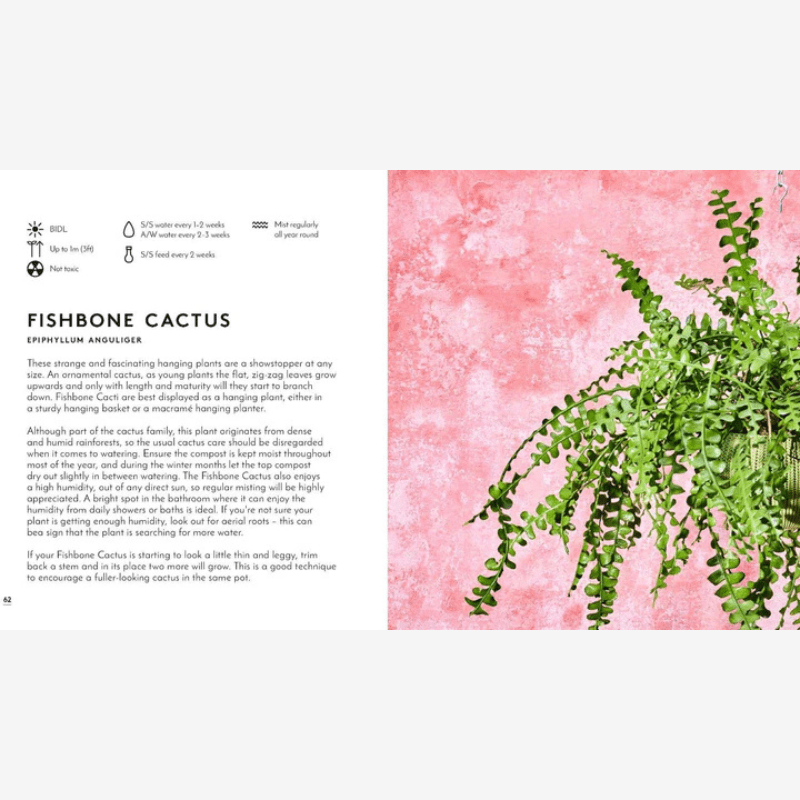 Little Book of Big Plants - B049520 - Uneeka