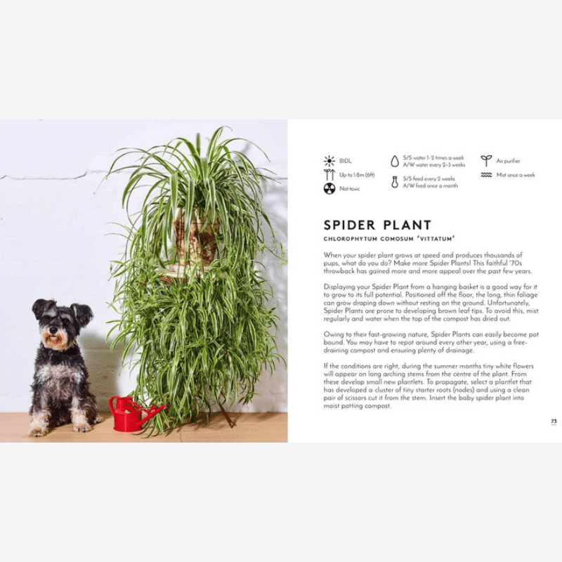 Little Book of Big Plants - B049520 - Uneeka