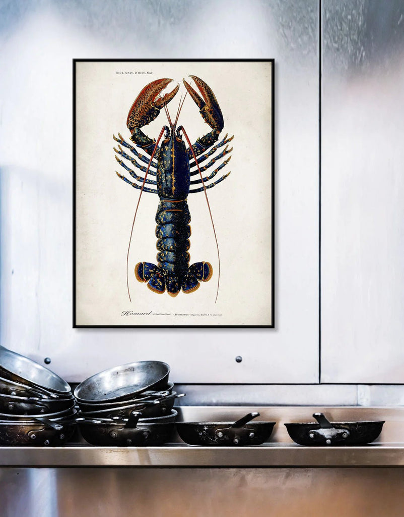 Lobster Framed Art Print - 50x70 6600 - Uneeka