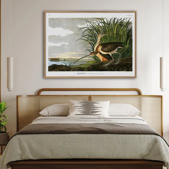 Long Billed Curlew Framed Art Print - 50x70 6518 - Uneeka