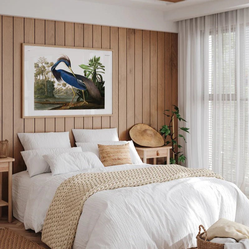 Louisiana Heron Framed Art Print - OFG 50x70 6502 - Uneeka