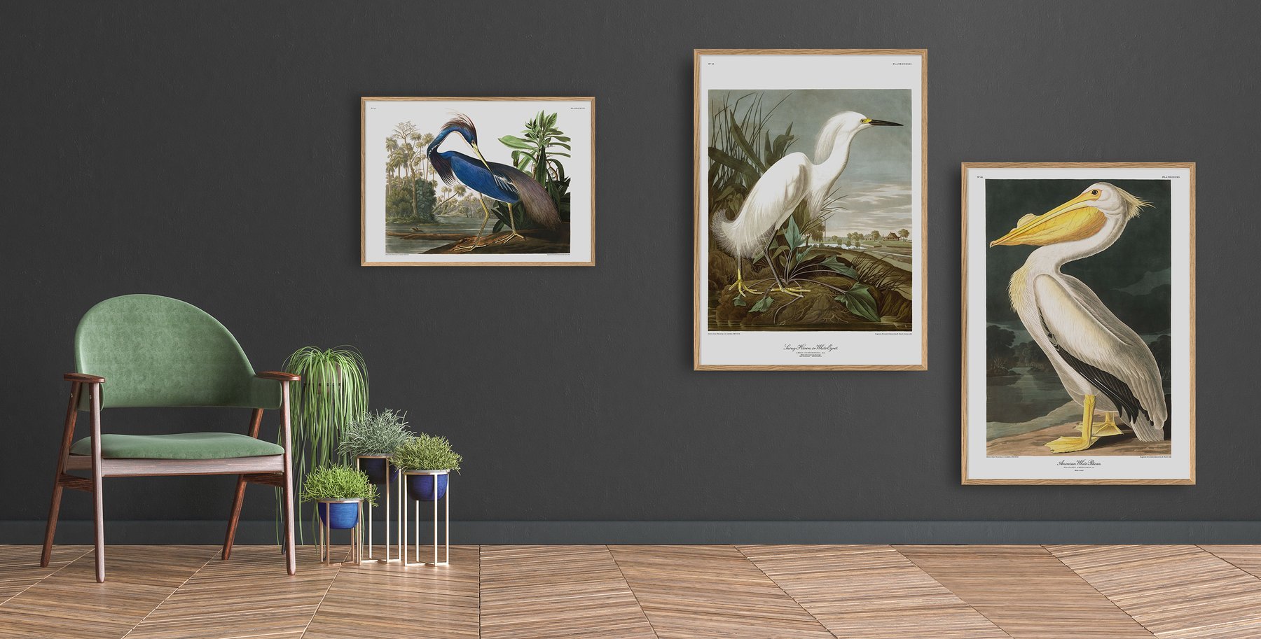 Louisiana Heron Framed Art Print - BFG 50x70 6502 - Uneeka