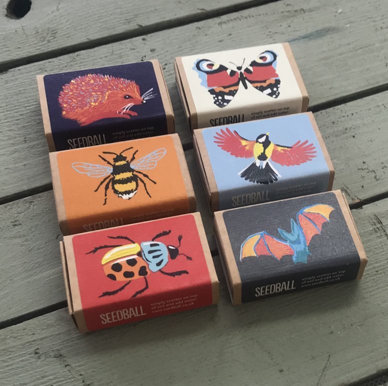 Set Of 6 Wildlife Friendly Wildflower Seed Mixes - Wildlife Collection - Uneeka