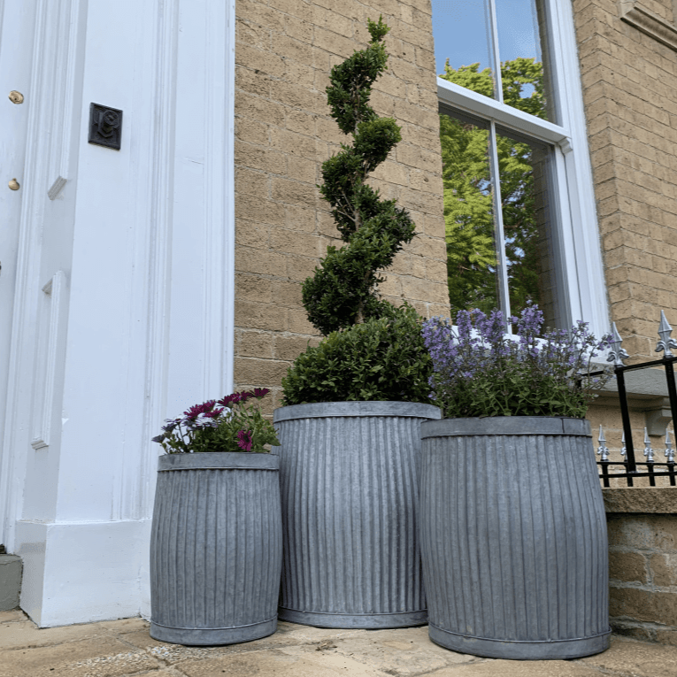 Metal Tub Planter - 3922 - Large - Uneeka