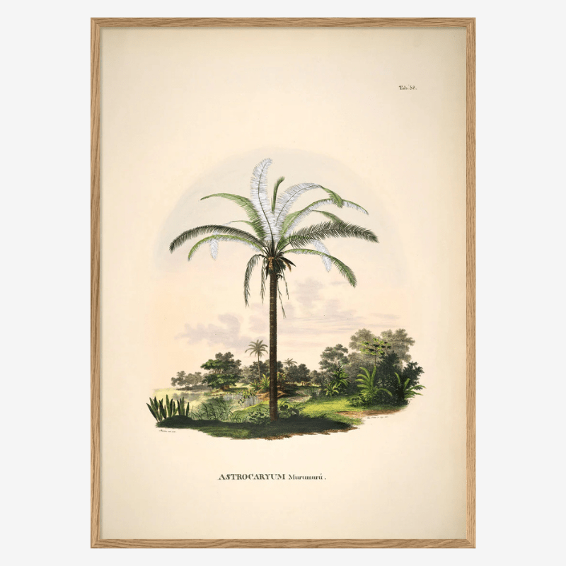 Murumuru Palm Framed Art Print - OFG 50x70 3501 - Uneeka