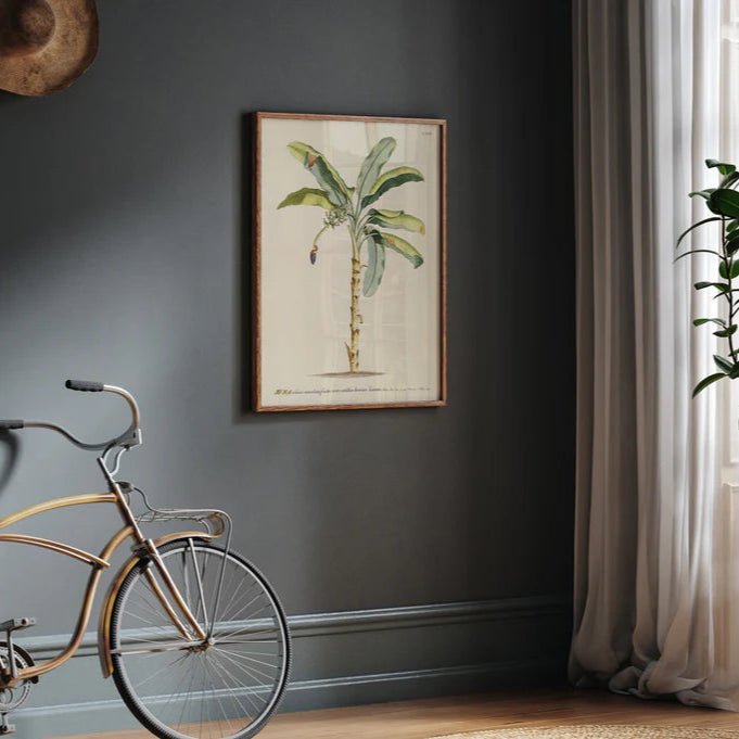 Musa Banana Palm Tree Framed Art Print - OFG 50x70 3705 - Uneeka