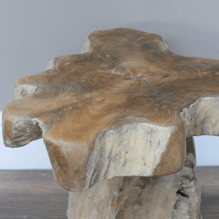 Natural Organic Teak Root Side Table - 8836 - Uneeka