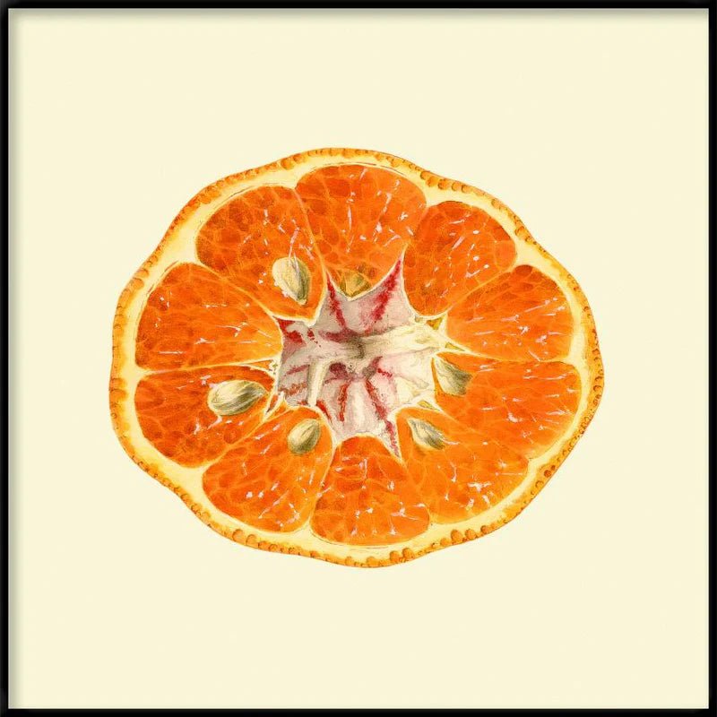 Open Mandarin Framed Art Print - BFG 30x30 5810 - Uneeka