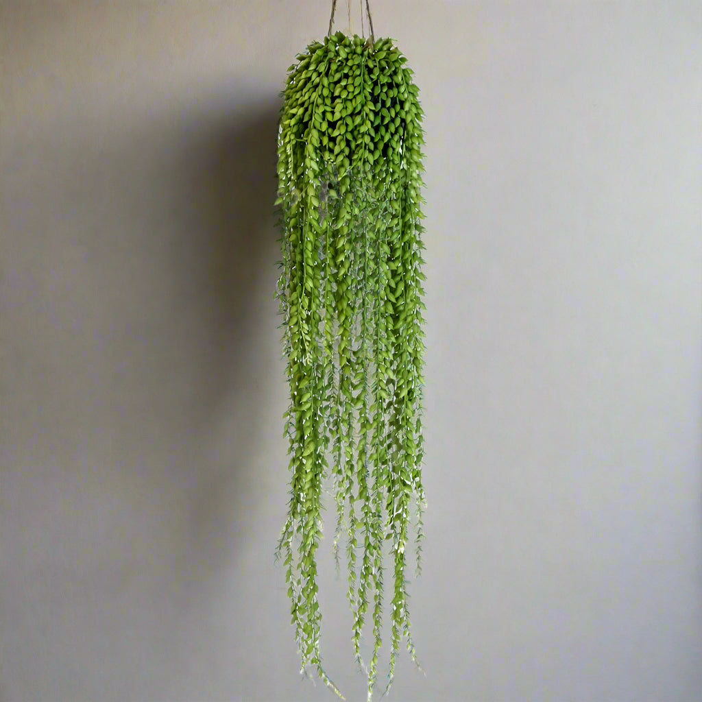 Ornamental Hanging String of Pearls Vine - AF77 - Uneeka