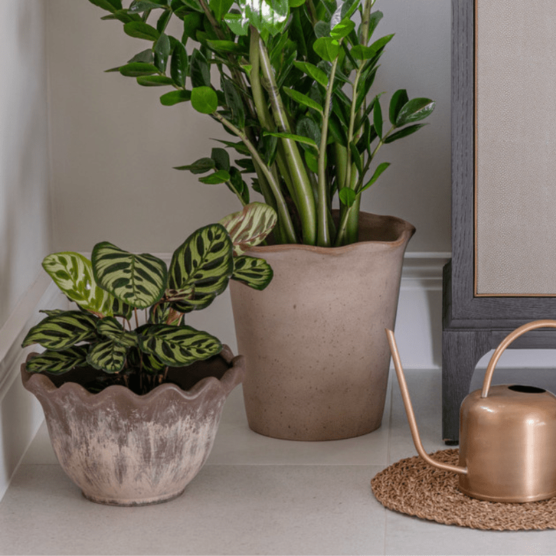 Outdoor Scalloped Edge Rustic Plant Pot - OAMSEB2 - LARGE - Uneeka