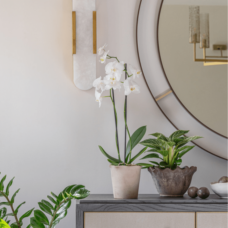 Outdoor Scalloped Edge Rustic Plant Pot - OAMSEB2 - SMALL - Uneeka