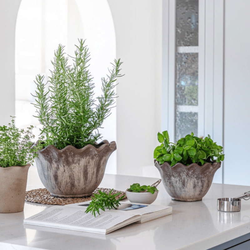 Outdoor Scalloped Edge Rustic Plant Pot - OAMSEB2 - SMALL - Uneeka