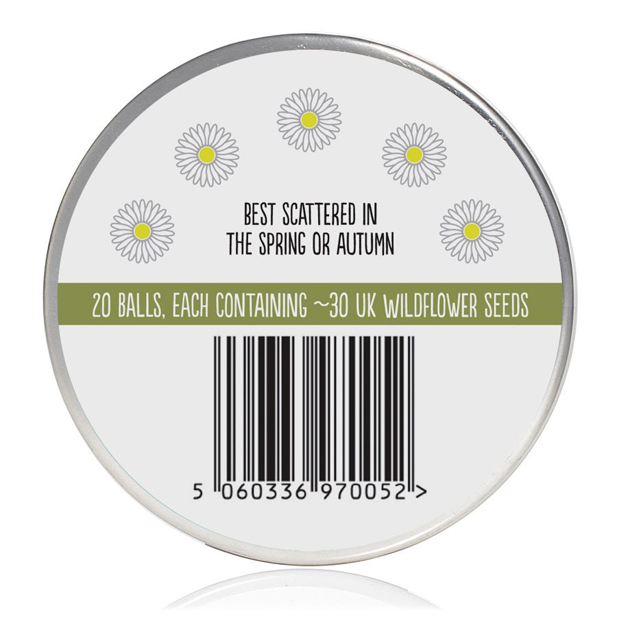 Oxeye Daisy Seedball Tin - OXE - Uneeka