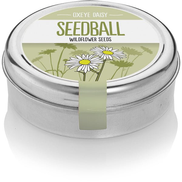 Oxeye Daisy Seedball Tin - OXE - Uneeka