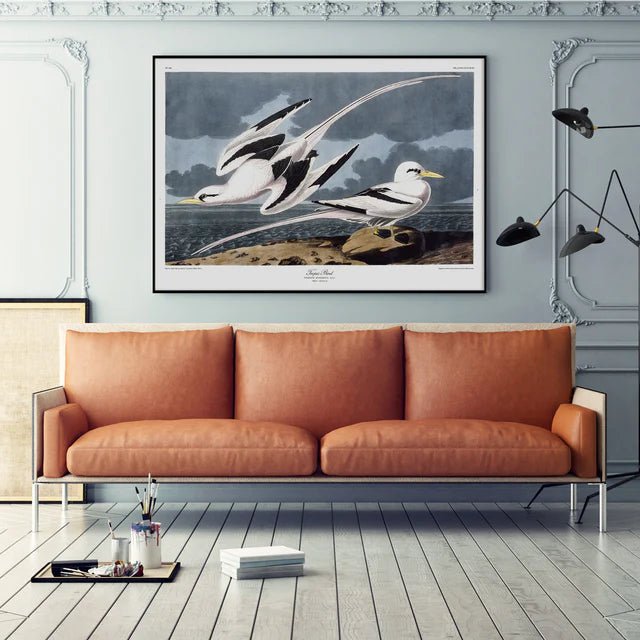 Pair Of Tropic Birds Framed Art Print - OFG 50x70 6529 - Uneeka