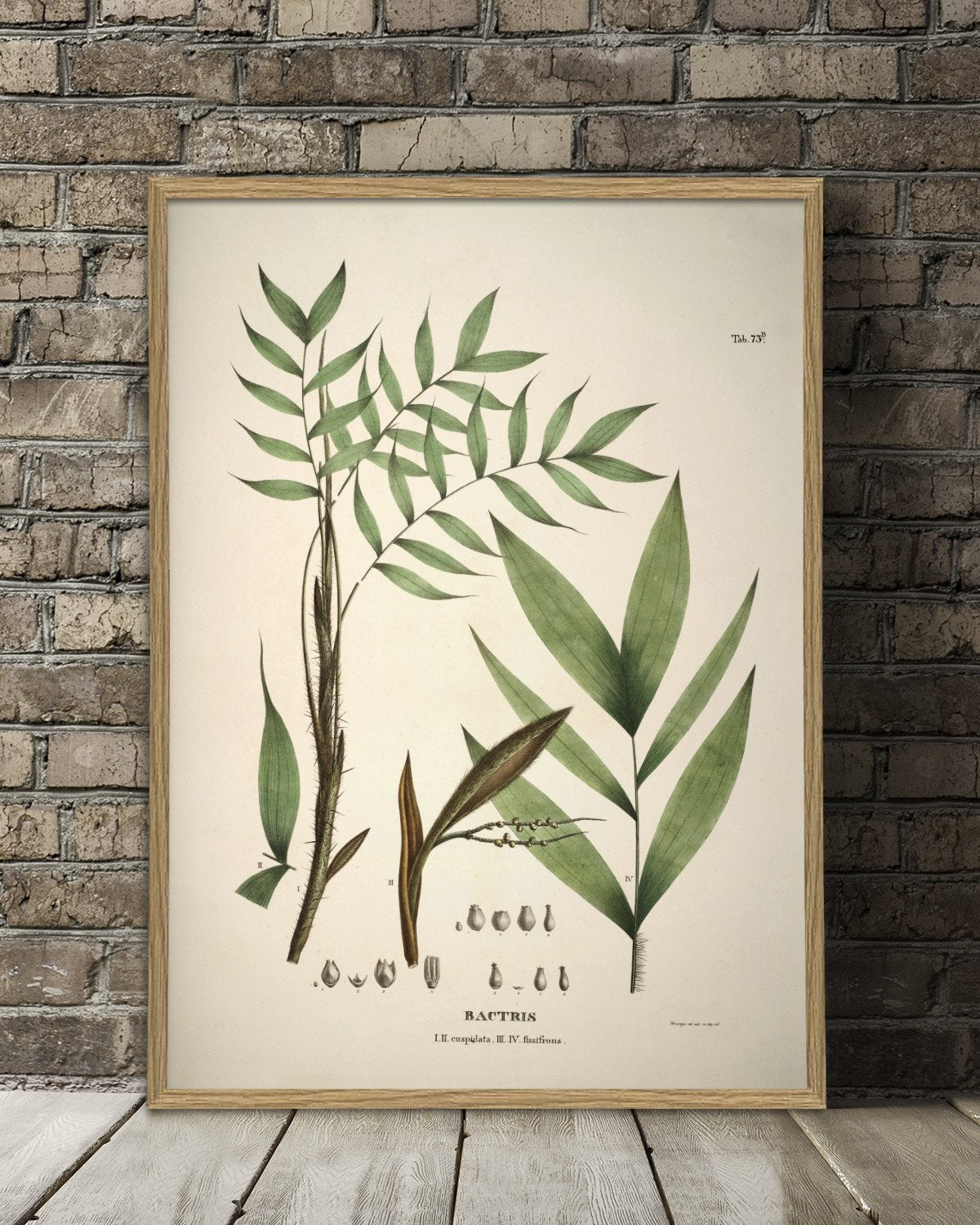 Palm Leaves Framed Art Print - 50x70 3514 - Uneeka